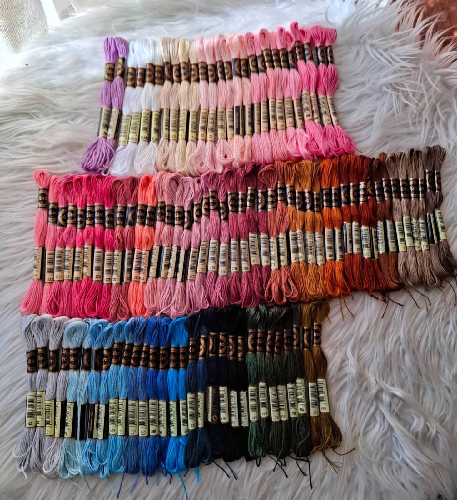 ايرو 100 شلة